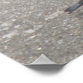 Chaffinch Chick laat fed afdrukken Poster (Hoek)