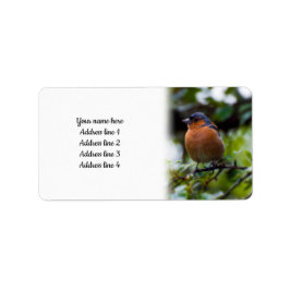 Chaffinch Etiket