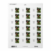 Chaffinch Etiket (Full Sheet)