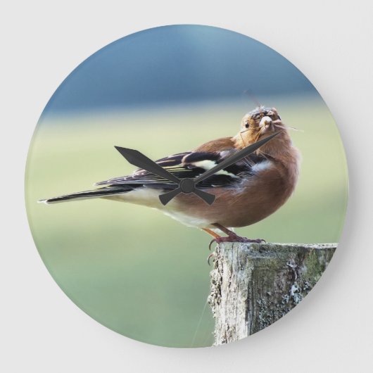 CHAFFINCH GROTE KLOK (Voorkant)