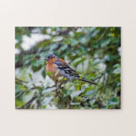 Chaffinch Jigzaagpuzzel Legpuzzel