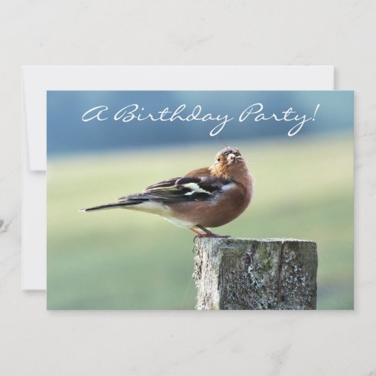 CHAFFINCH KAART (Voorkant)