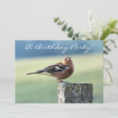 CHAFFINCH KAART (Staand voorkant)