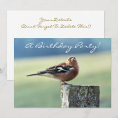 CHAFFINCH KAART (Voorkant / Achterkant)