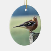 CHAFFINCH KERAMISCH ORNAMENT (Rechts)