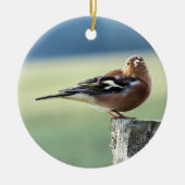 CHAFFINCH KERAMISCH ORNAMENT (Voorkant)