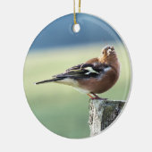 CHAFFINCH KERAMISCH ORNAMENT (Links)