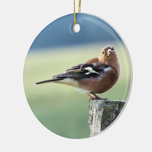 CHAFFINCH KERAMISCH ORNAMENT (Links)