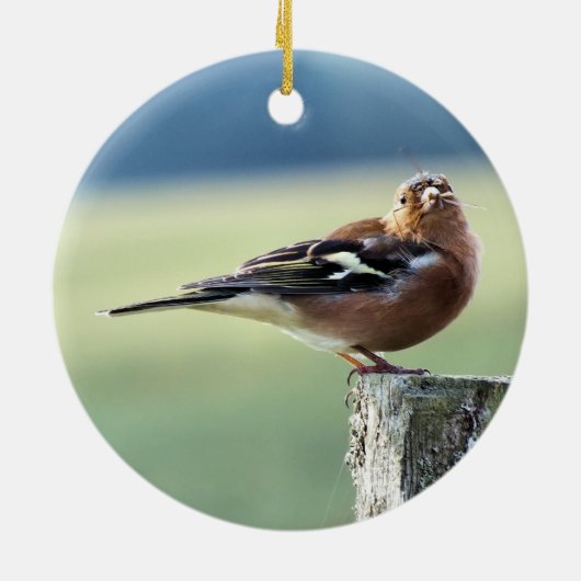 CHAFFINCH KERAMISCH ORNAMENT (Achterkant)