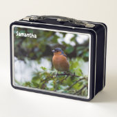 Chaffinch Metal Lunchbox (Achterkant)