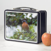 Chaffinch Metal Lunchbox (In situ)