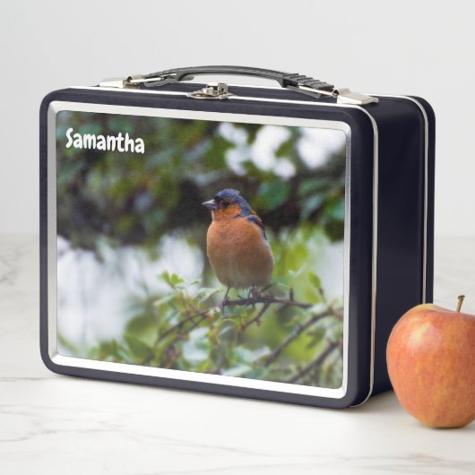 Chaffinch Metal Lunchbox (In situ)