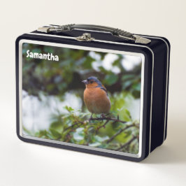 Chaffinch Metal Lunchbox