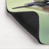 CHAFFINCH MUISMAT (Hoek)