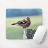 CHAFFINCH MUISMAT (Met muis)