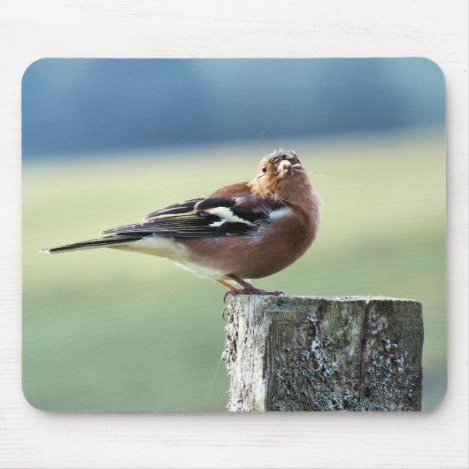 CHAFFINCH MUISMAT (Voorkant)