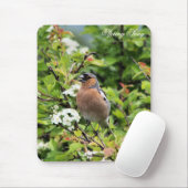 CHAFFINCH MUISMAT (Met muis)