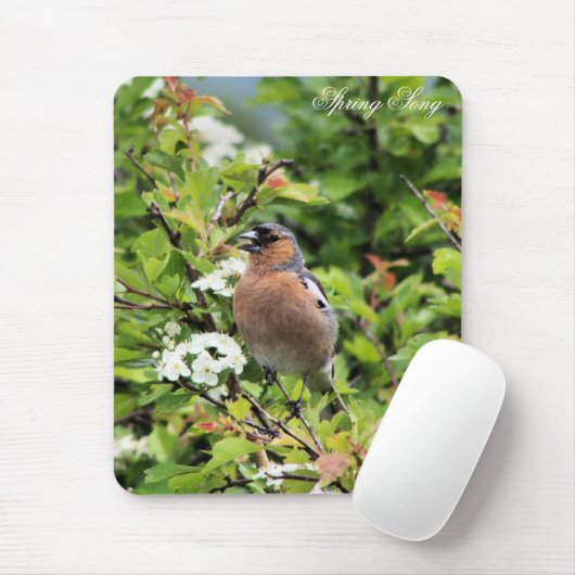 CHAFFINCH MUISMAT (Met muis)