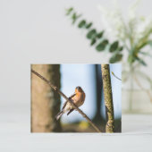 Chaffinch op tak briefkaart (Staand voorkant)