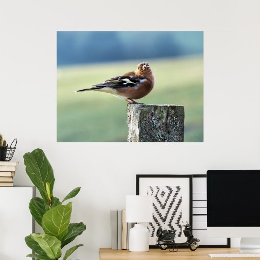 CHAFFINCH POSTER (Thuiskantoor)