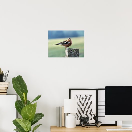 CHAFFINCH POSTER (Thuiskantoor)