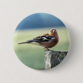 CHAFFINCH RONDE BUTTON 5,7 CM (Voorkant)