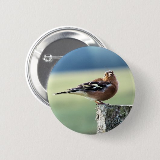 CHAFFINCH RONDE BUTTON 5,7 CM (Voorkant /achterkant)