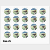 CHAFFINCH RONDE STICKER (Vel)