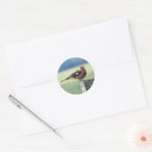 CHAFFINCH RONDE STICKER (Envelop)
