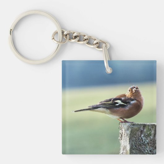 CHAFFINCH SLEUTELHANGER (voorkant)