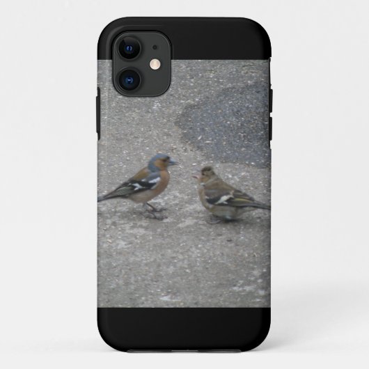 Chaffinch voer me iPhone 5 Hoesje (Achterkant)