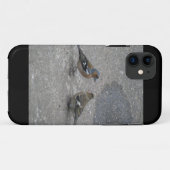 Chaffinch voer me iPhone 5 Hoesje (Achterkant (horizontaal))