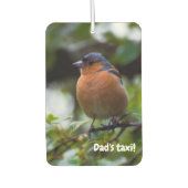 Chaffinch-vogel Luchtverfrisser (Voorkant)