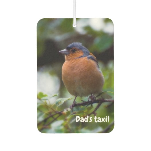 Chaffinch-vogel Luchtverfrisser (Voorkant)