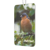 Chaffinch-vogel Luchtverfrisser (Links)