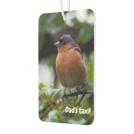 Chaffinch-vogel Luchtverfrisser (Links)