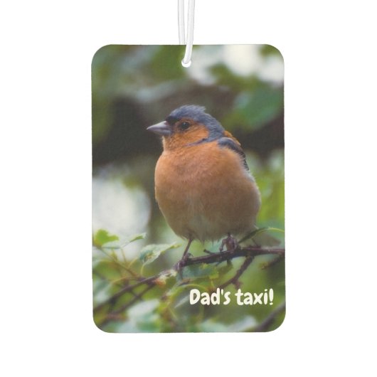 Chaffinch-vogel Luchtverfrisser (Achterkant)