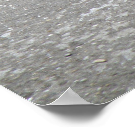 Chaffinch zingt voor zijn superafdrukken poster (Hoek)