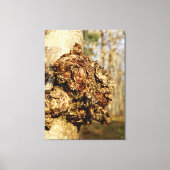 Chaga Mushroom Canvas Print (Voorkant)