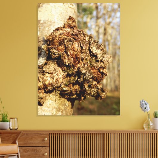 Chaga Mushroom Canvas Print (Insitu (Woonkamer))