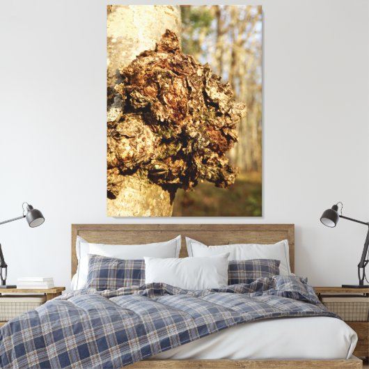 Chaga Mushroom Canvas Print (Insitu (Slaapkamer))