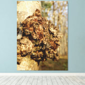 Chaga Mushroom Canvas Print (Insitu (Houten vloer))