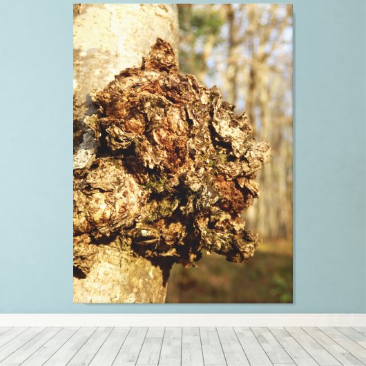 Chaga Mushroom Canvas Print (Insitu (Houten vloer))