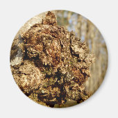 Chaga Mushroom Magnet (Voorkant)