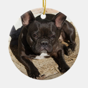 Chagrijnige Franse Bulldog Keramisch Ornament