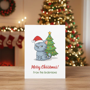 Chagrijnige Grijze Lapjeskat Rode Kerstmuts Kerstb Briefkaart