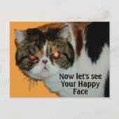 Chagrijnige Grumpy Cat Exotische Korthaar Persoon Briefkaart (Voorkant)