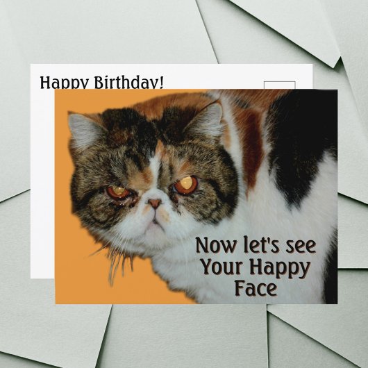 Chagrijnige Grumpy Cat Exotische Korthaar Persoon Briefkaart