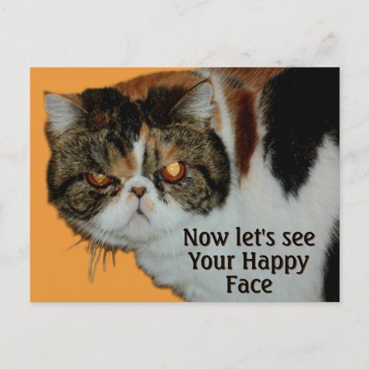 Chagrijnige Grumpy Cat Exotische Korthaar Persoonl Briefkaart (Voorkant)