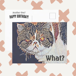 Chagrijnige Grumpy Cat Grappige Verjaardag Briefkaart